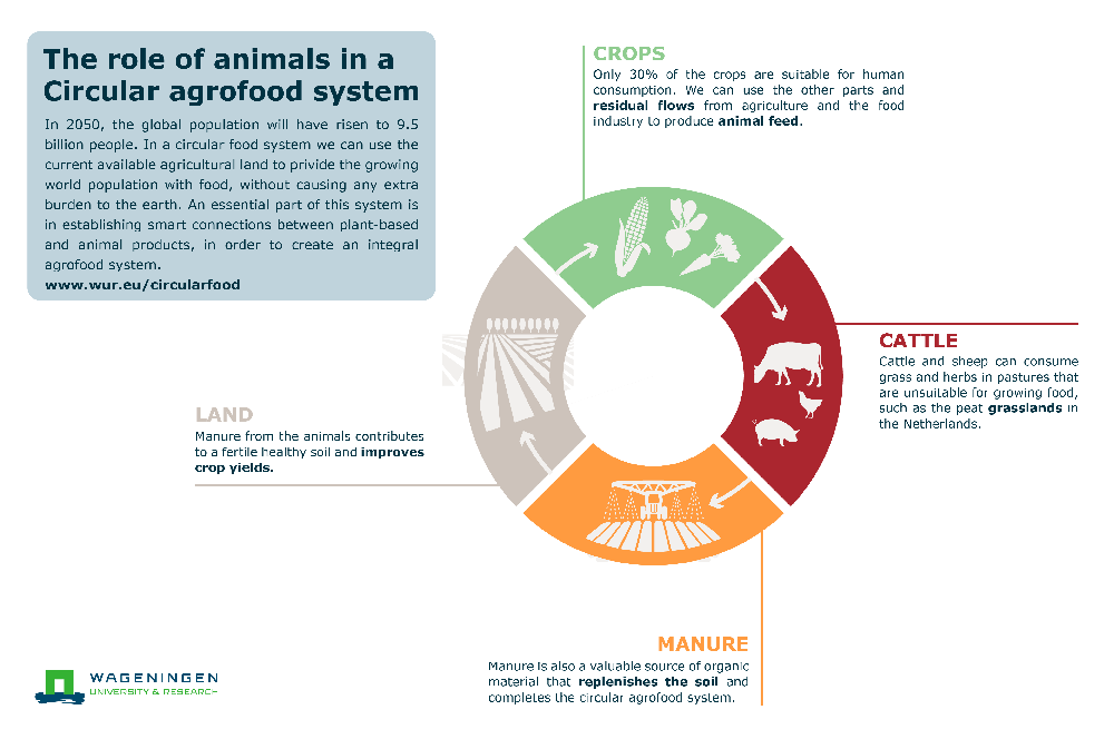 Circular agrofood system - WUR